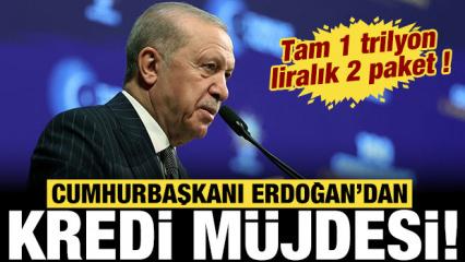 Erdoğan'dan milyonlara kredi m&uuml;jdesi: 1 trilyon liralık uygun koşullu kredi!