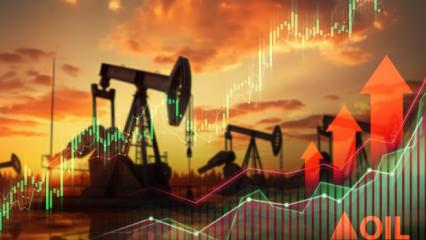 IMF'den petrol uyarısı: Artık t&uuml;kenmiş durumda!