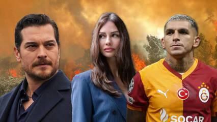 Milas'taki orman yangını l&uuml;ks siteye sı&ccedil;radı! &Uuml;nl&uuml; isimlerin evleri alevler i&ccedil;inde kaldı