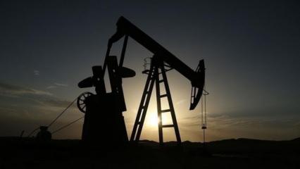 Petrol istasyonlarında "g&uuml;bre" kuyruğu! Hindistan ineğe bel bağladı