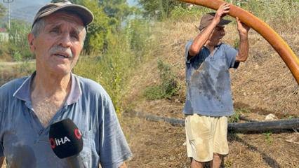 Zeytinlikleri k&uuml;l oldu! Kanser hastası Nazmi amca kurduğu sistemle b&ouml;lgeye su taşıdı