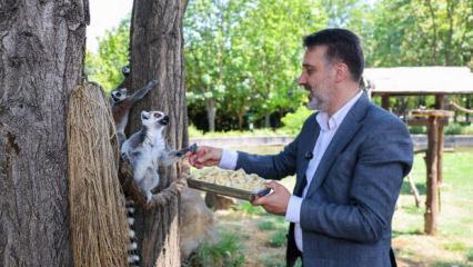 Başkan Vekili Biba, Bursa Hayvanat Bah&ccedil;esi'nde incelemelerde bulundu 