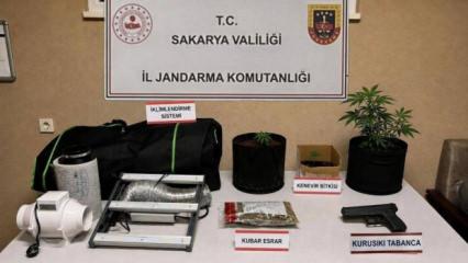 Sakarya'da uyuşturucu operasyonu: 2 tutuklama