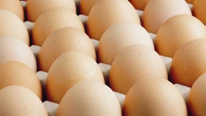 ABD'de salmonella alarmı: Milyonlarca yumurta toplandı