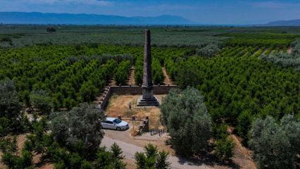G&ouml;ren anlam veremiyor! Zeytin bah&ccedil;eleri ortasında 2 bin yıllık anıt mezar