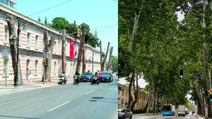 İstanbul'un simgesinde g&ouml;z g&ouml;re g&ouml;re gelen felaket! İBB'nin hatası asırlık mirası &ccedil;&uuml;r&uuml;tt&uuml;!
