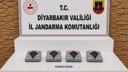 Jandarmadan narkotik darbesi: Kilolarca toz esrar ve binlerce hap ele ge&ccedil;irildi!