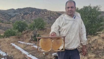 Kilosu 2 bin 200 lira! Bal fiyatları belli oldu