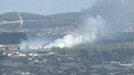 Son dakika: Muğla'da orman yangını!