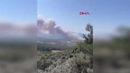 &Ccedil;anakkale&rsquo;de orman yangını