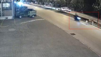 D&uuml;zce'de yola atlayan danaya motosiklet &ccedil;arptI