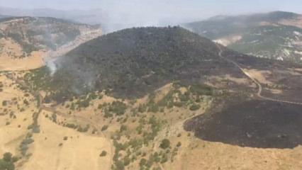 Elazığ&rsquo;daki orman yangınından sevindiren haber