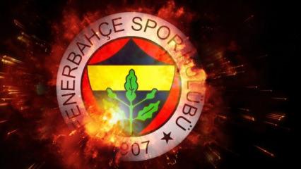 Fenerbah&ccedil;e Paraguaylı kaleciyi a&ccedil;ıkladı!