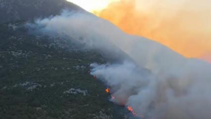 Kaş'ta orman yangını! Havadan ve karadan m&uuml;dahale ediliyor