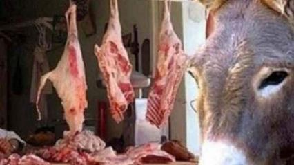 Vatandaşına en &ccedil;ok eşek eti yediren &uuml;lkeler a&ccedil;ıklandı!