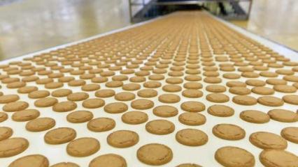 pladis, dengeli beslenmeye katkı sunan &uuml;r&uuml;n hacmini 2030&rsquo;a kadar iki katına &ccedil;ıkaracak