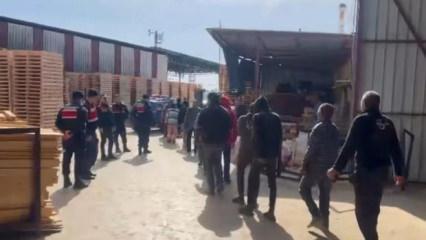 31 ilde g&ouml;&ccedil;men ka&ccedil;ak&ccedil;ılarına dev operasyon: 33 organizat&ouml;r yakalandı  
