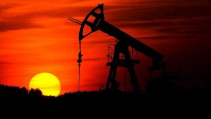 Shell ve OMV ile dev Karadeniz ittifakı: Bulgaristan onayladı, TPAO sahaya iniyor