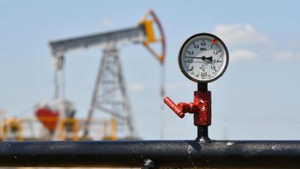 Jeopolitik oynaklık tavan yaptı! Uzmanlardan petrol i&ccedil;in korkutan 'H&uuml;rm&uuml;z' uyarısı