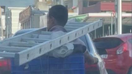 Boynuna merdiveni asıp gaza bastı! Osmaniye'de şaşırtan taşıma y&ouml;ntemi