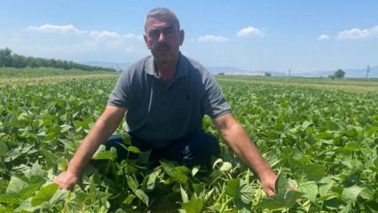 Her &ccedil;ift&ccedil;inin hayali! Sadece tarlasını hazırlıyor, hasat olsa da olmasa da cebi doluyor