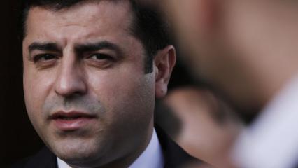Selahattin Demirtaş i&ccedil;in 'tek' şart: 12 maddelik &ccedil;er&ccedil;eve yasanın bilinmeyenleri
