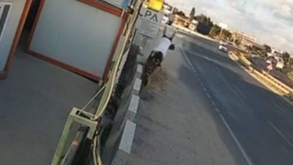 Tekirdağ'da yeni aldığı motoru mezarı oldu: Feci kaza anları kamerada