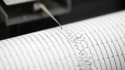 Yeni Zelanda'da deprem! Beşik gibi sallandı!