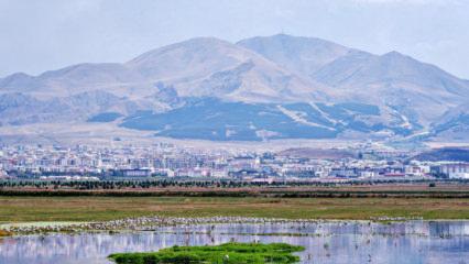 128 yıllık belge a&ccedil;ığa &ccedil;ıktı! Erzurum petrol&uuml; Osmanlı'nın g&uuml;ndemindeymiş