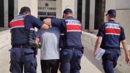 Edremit'teki orman yangına ilişkin 1 tutuklama