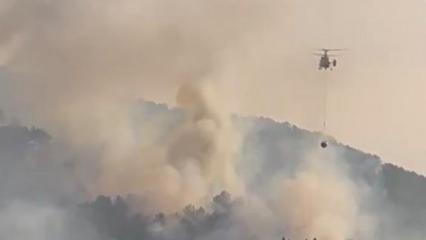 Bolu'da orman yangını