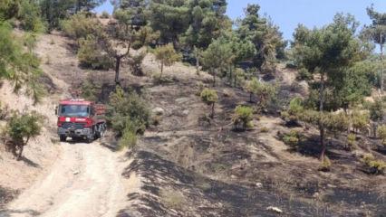 Kahramanmaraş&rsquo;ta orman yangını kontrol altına alındı