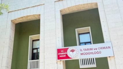 Kedinin ısırdığı 4 yaşındaki &ccedil;ocuk ent&uuml;be edildi! Kuduz testi pozitif &ccedil;ıktı