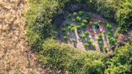 Sosyal medyadan uyuşturucu satan &ccedil;eteye darbe: 96 ş&uuml;pheli yakalandı