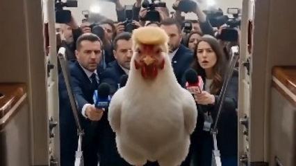 Trump'a korkak tavuk g&ouml;ndermesi