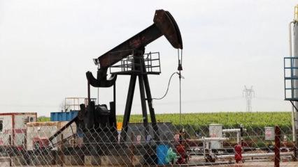 İki şehirde yeni petrol izni! S&uuml;re uzatıldı!