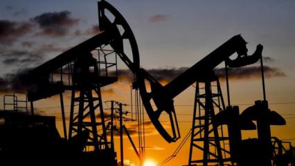 Vites y&uuml;kselttik! 6 ayda 23,1 milyon varil petrol, 1,6 milyar metrek&uuml;p doğal gaz &uuml;retildi!