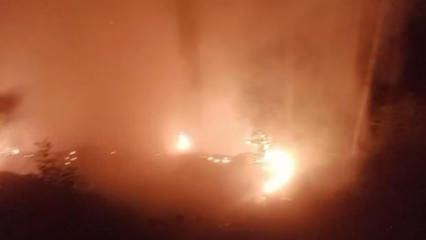 Alanya&rsquo;da ormanlık alan yangınında 2 d&ouml;n&uuml;m alan zarar g&ouml;rd&uuml;