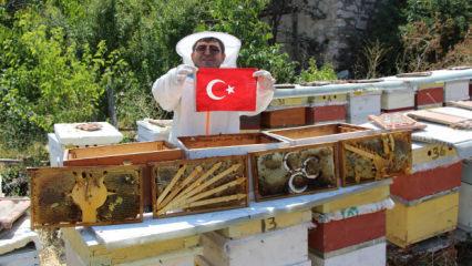 Bu se&ccedil;imi arılar belirledi! 4 partinin kıyasıya yarışı sonu&ccedil; verdi 