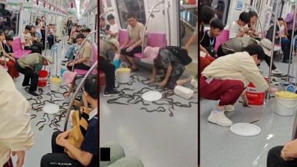 &Ccedil;in'de devrilen kovadan sa&ccedil;ılan yılan balıkları metroda panik yarattı