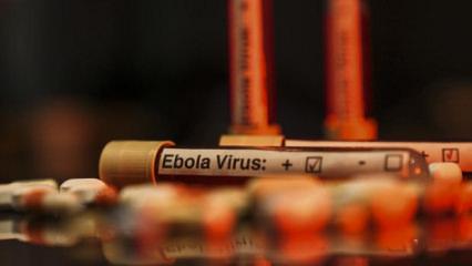 Ebola alarmı b&uuml;y&uuml;yor! DS&Ouml;&rsquo;den korkutan uyarı: Risk &ccedil;ok y&uuml;ksek
