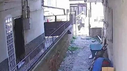 Hurdacının cesareti pes dedirtti