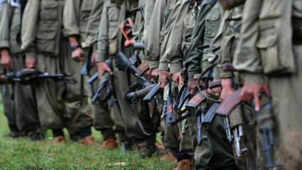 PKK'nın elindeki silahların akıbeti belli oldu: Dikkat &ccedil;eken 3 form&uuml;l