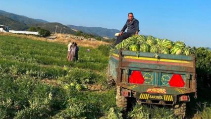 Sarıg&ouml;ll&uuml; &uuml;reticiden "Kendi &uuml;ret, kendi sat" hamlesi