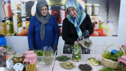 T&uuml;rkiye'nin &lsquo;yeşil altını&rsquo; &Ccedil;ubuk turşusu 45 &ccedil;eşidiyle d&uuml;nya sofralarını lezzetlendiriyor!