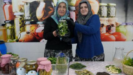 T&uuml;rkiye'nin &lsquo;yeşil altını&rsquo; &Ccedil;ubuk turşusu 45 &ccedil;eşidiyle d&uuml;nya sofralarını lezzetlendiriyor!