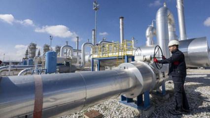 Bakan Bayraktar duyurdu: 2028'de 17 milyon haneye yerli gaz