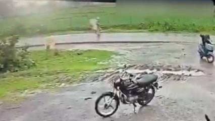 Hindistan'da yolda y&uuml;r&uuml;yen kadına yıldırım isabet etti