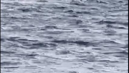 Ayvalık'ta can pazarı: Akıntıya kapılan tatilciyi botla kurtardı! 