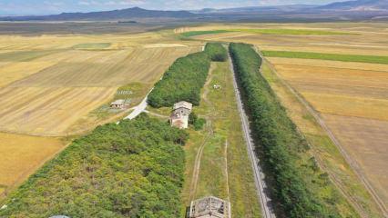 &Ccedil;&ouml;lde bir vaha gibi: Kars&rsquo;ın Benli Ahmet Tren İstasyonu 57 yıllık emeği yansıtıyor